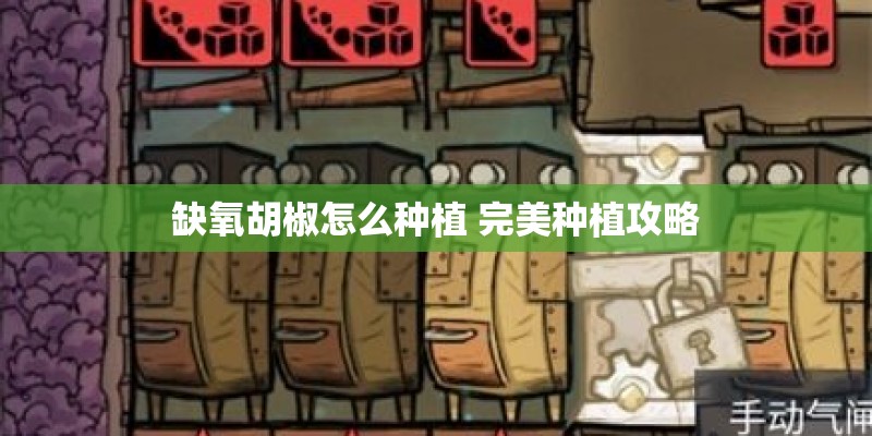 缺氧胡椒怎么种植 完美种植攻略 缺氧胡椒怎么种植 完美种植攻略