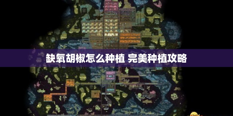 缺氧胡椒怎么种植 完美种植攻略 缺氧胡椒怎么种植 完美种植攻略