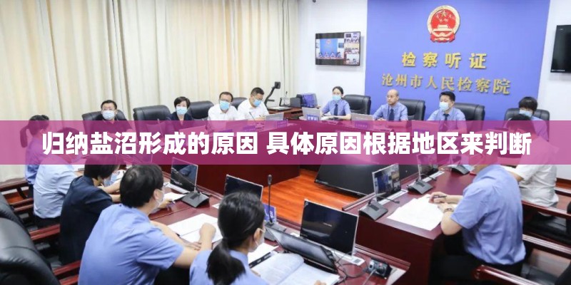 归纳盐沼形成的原因 具体原因根据地区来判断