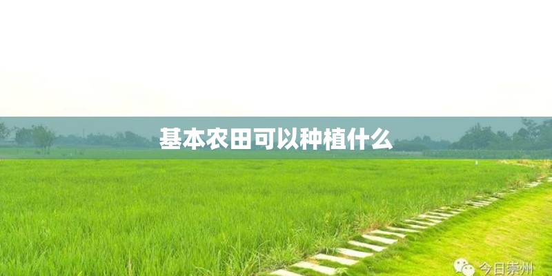 基本农田可以种植什么