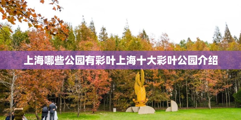 上海哪些公园有彩叶上海十大彩叶公园介绍