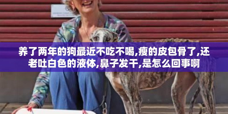 养了两年的狗最近不吃不喝,瘦的皮包骨了,还老吐白色的液体,鼻子发干,是怎么回事啊 养了两年的狗最近不吃不喝,瘦的皮包骨了,还老吐白色的液体,鼻子发干,是怎么回事啊