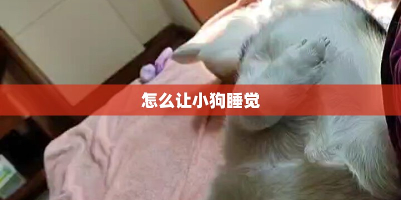 怎么让小狗睡觉 怎么让小狗睡觉