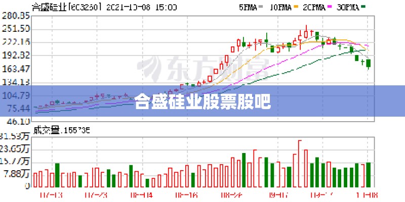 合盛硅业股票股吧 合盛硅业股票股吧