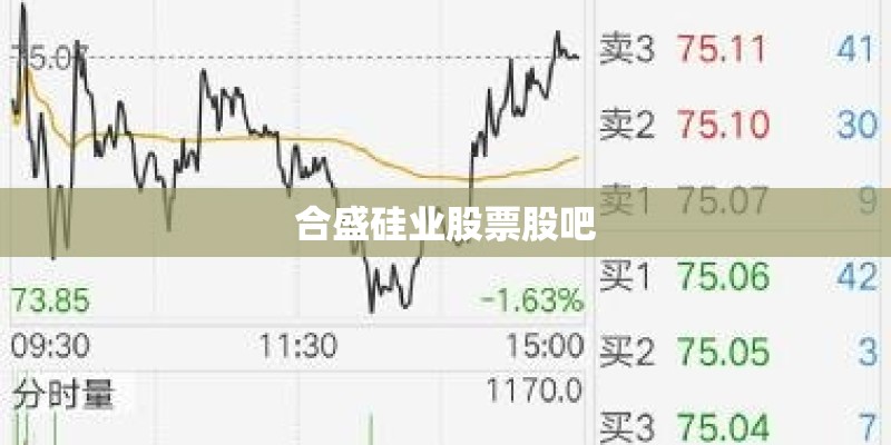 合盛硅业股票股吧 合盛硅业股票股吧