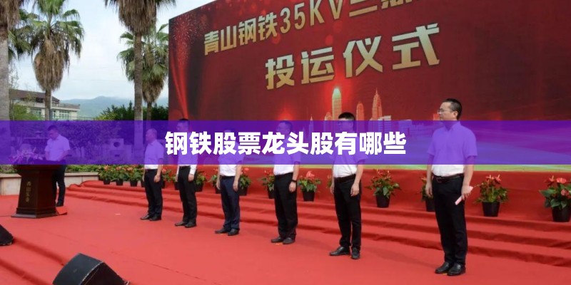 钢铁股票龙头股有哪些 钢铁股票龙头股有哪些