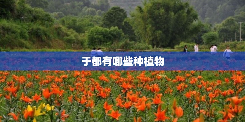 于都有哪些种植物 于都有哪些种植物