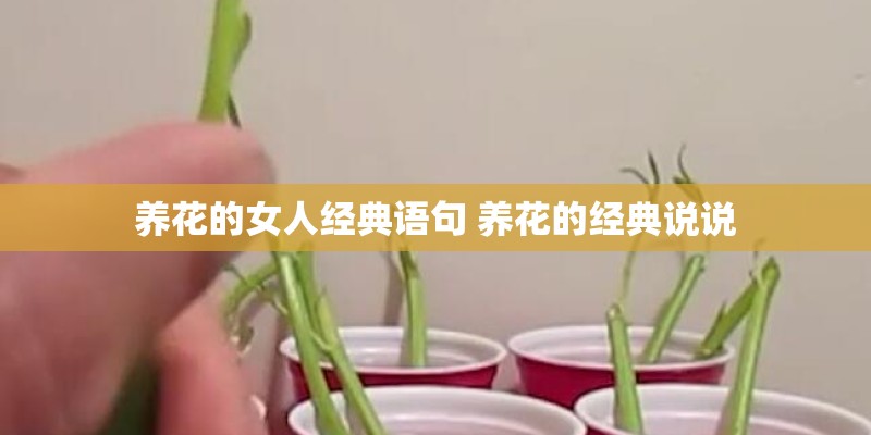 养花的女人经典语句 养花的经典说说