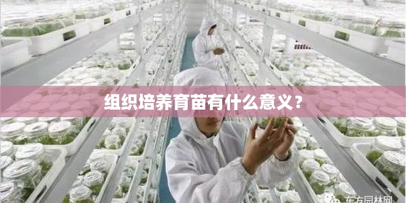 组织培养育苗有什么意义？