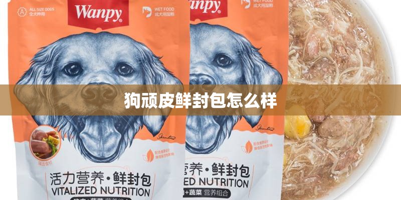 狗顽皮鲜封包怎么样