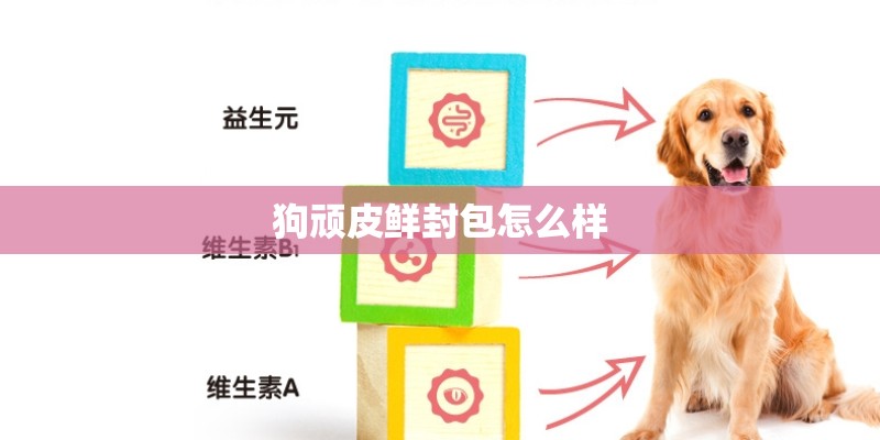 狗顽皮鲜封包怎么样