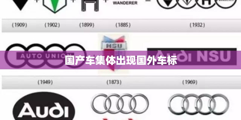 国产车集体出现国外车标