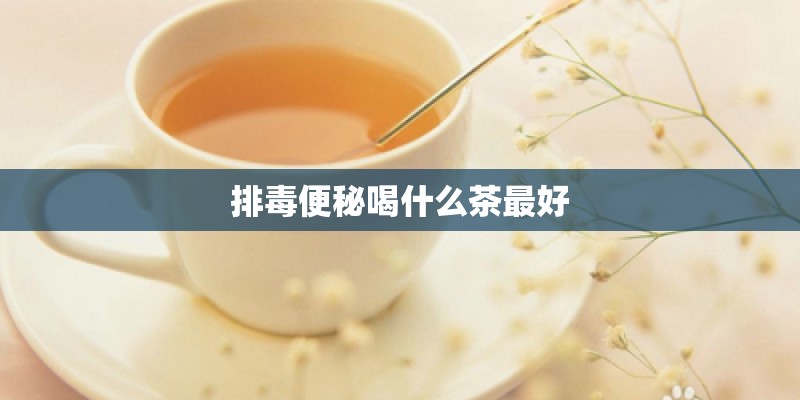 排毒便秘喝什么茶最好