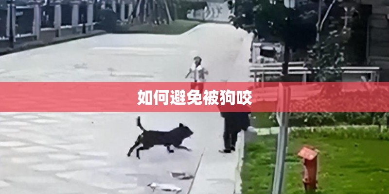 如何避免被狗咬