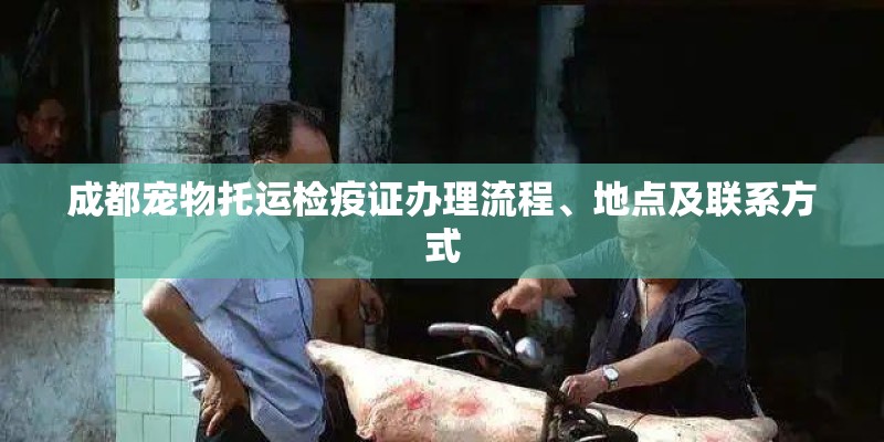 成都宠物托运检疫证办理流程、地点及联系方式