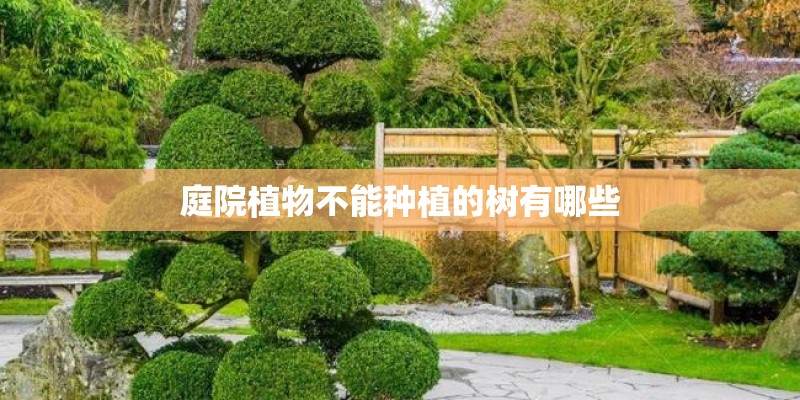 庭院植物不能种植的树有哪些