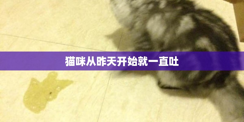 猫咪从昨天开始就一直吐