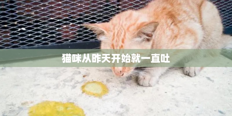 猫咪从昨天开始就一直吐