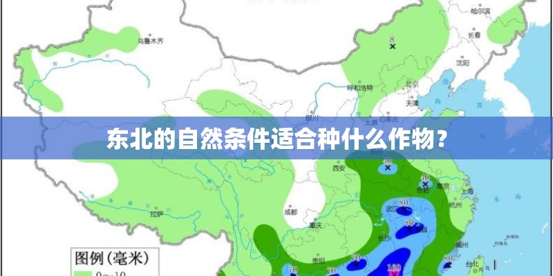 东北的自然条件适合种什么作物？