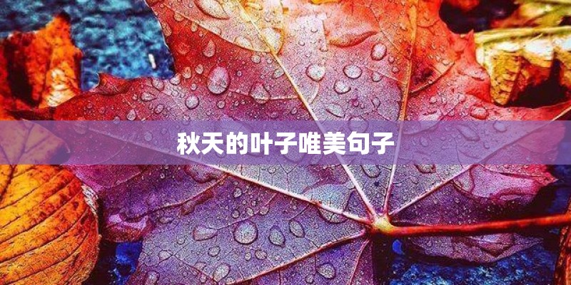 秋天的叶子唯美句子