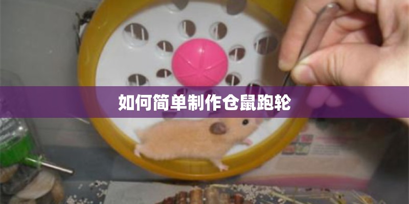 如何简单制作仓鼠跑轮