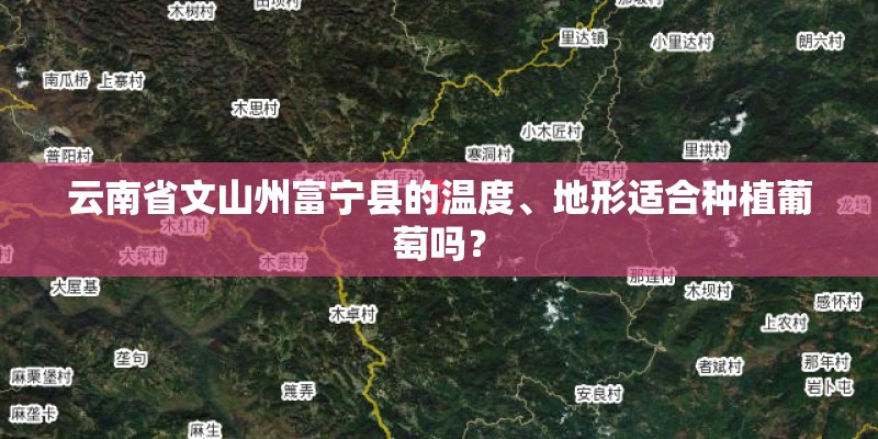 云南省文山州富宁县的温度、地形适合种植葡萄吗？