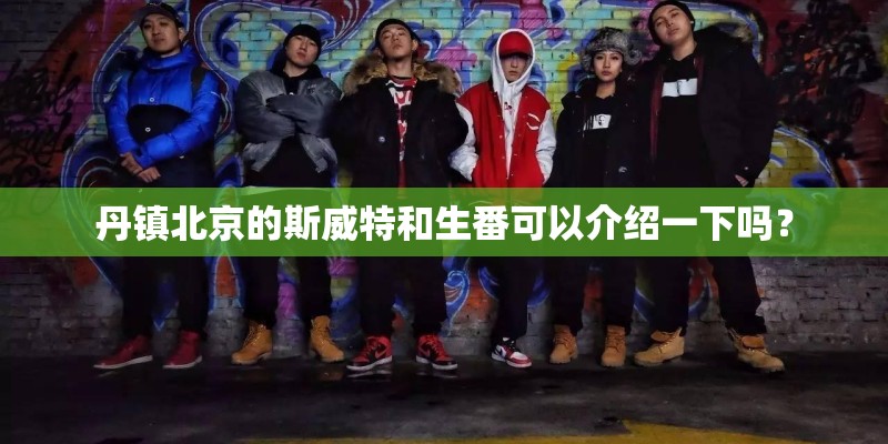 丹镇北京的斯威特和生番可以介绍一下吗？
