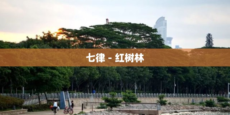 七律 - 红树林 七律 - 红树林