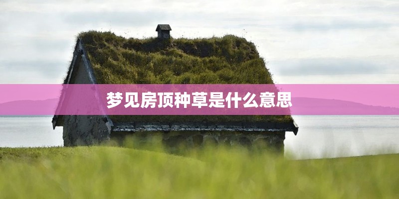 梦见房顶种草是什么意思