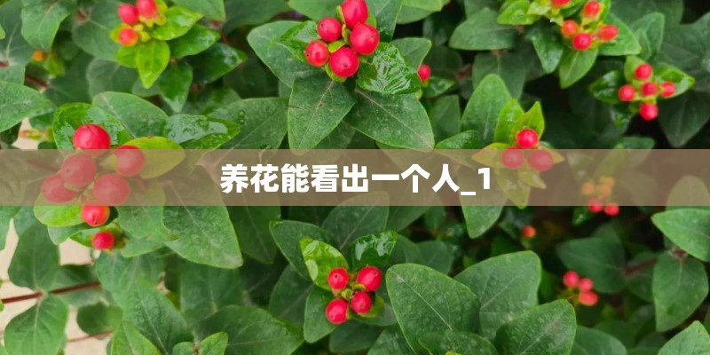 养花能看出一个人_1