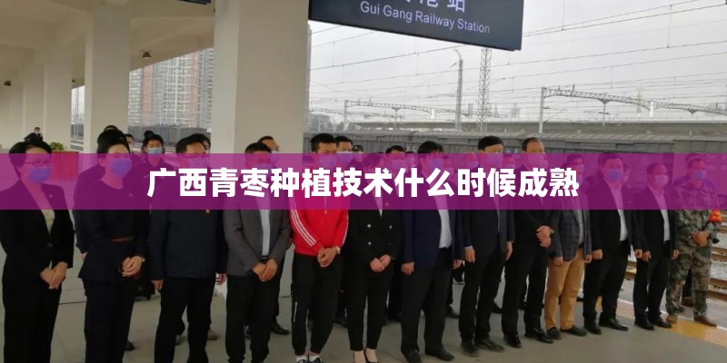 广西青枣种植技术什么时候成熟 广西青枣种植技术什么时候成熟