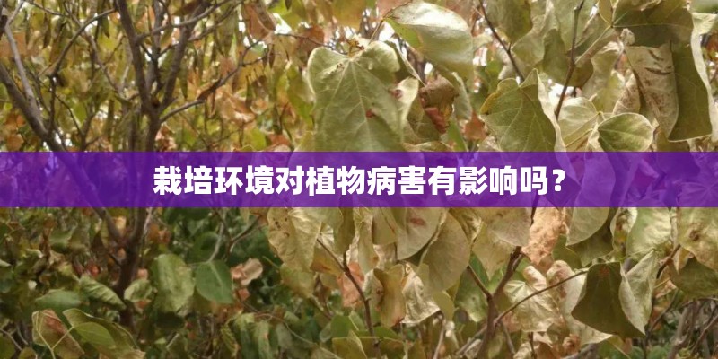 栽培环境对植物病害有影响吗？