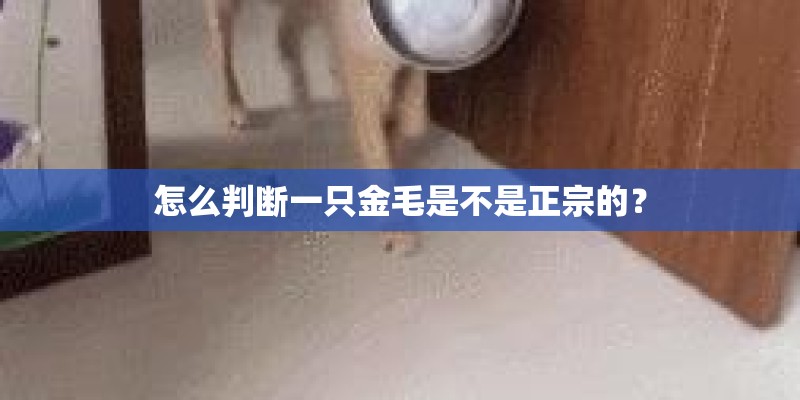 为了2500元起诉值得吗 为了2500元起诉值得吗