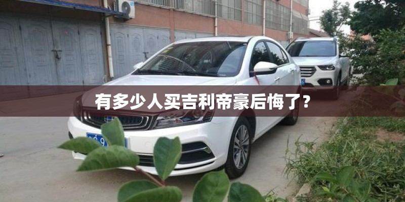有多少人买吉利帝豪后悔了？