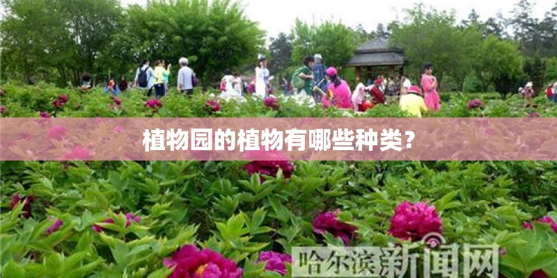 植物园的植物有哪些种类？