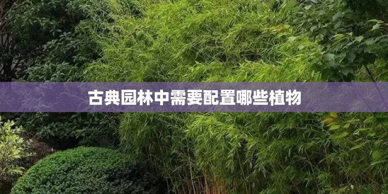 古典园林中需要配置哪些植物