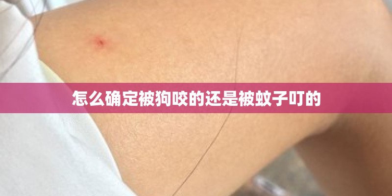 怎么确定被狗咬的还是被蚊子叮的