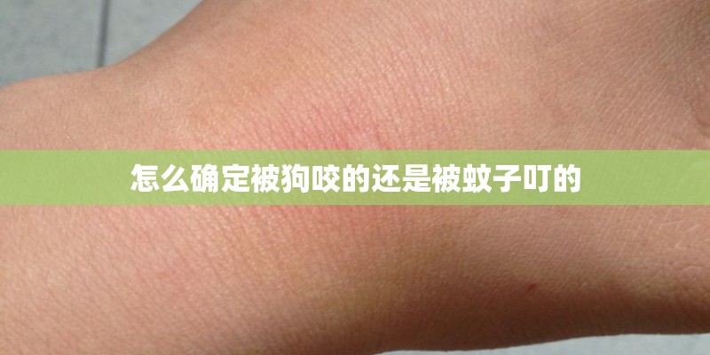 怎么确定被狗咬的还是被蚊子叮的
