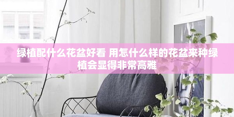 绿植配什么花盆好看 用怎什么样的花盆来种绿植会显得非常高雅 绿植配什么花盆好看 用怎什么样的花盆来种绿植会显得非常高雅