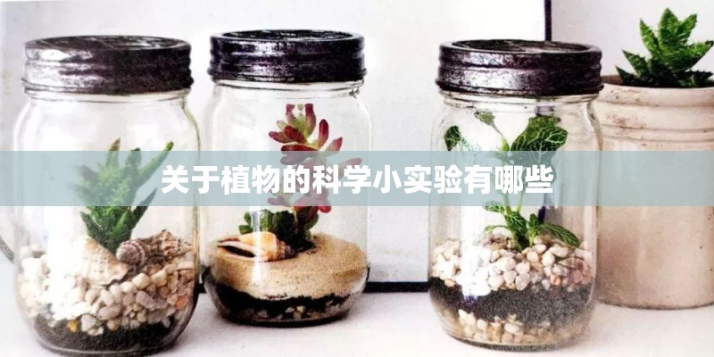 关于植物的科学小实验有哪些 关于植物的科学小实验有哪些
