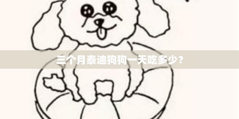 三个月泰迪狗狗一天吃多少？
