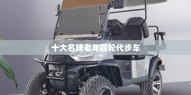 十大名牌老年四轮代步车