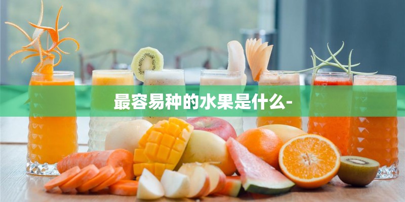 最容易种的水果是什么-