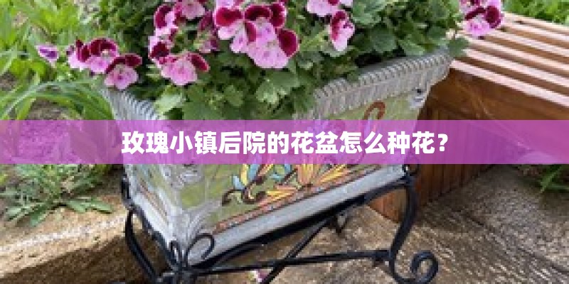 玫瑰小镇后院的花盆怎么种花？