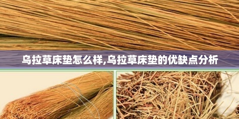 乌拉草床垫怎么样,乌拉草床垫的优缺点分析