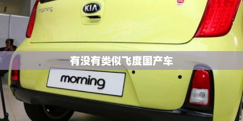 有没有类似飞度国产车