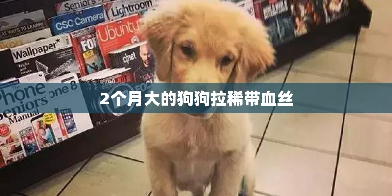 2个月大的狗狗拉稀带血丝