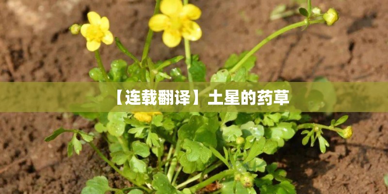 【连载翻译】土星的药草