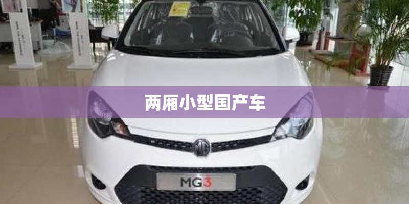 两厢小型国产车