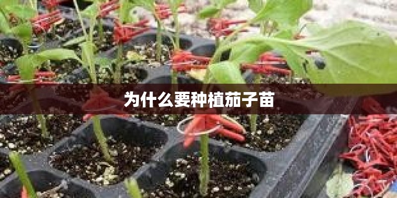大学生植树节创意活动方案简短 大学生植树节创意活动方案简短